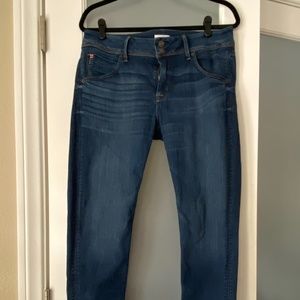 Hudson Colin Size 31